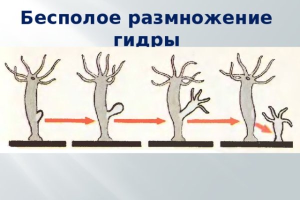 Что можно купить в кракене